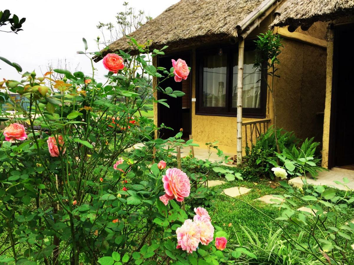 May Homestay - Tam Coc Local Village Ninh Binh Bagian luar foto